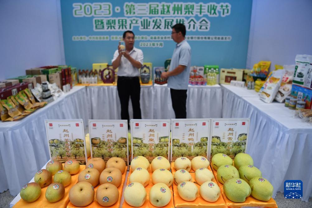 大奖网彩票官方网站