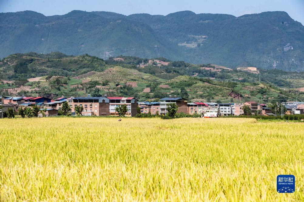 捕鱼游戏送现金10元